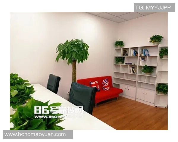 深圳网球队创历史新高网球速度排名再创新纪录引发关注