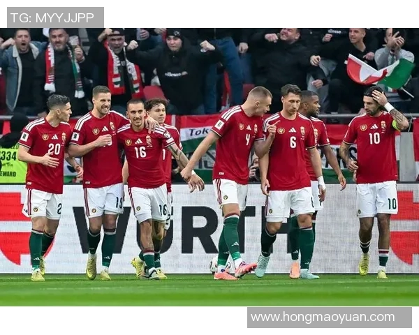 爱尔兰足球明星排行榜前十名揭晓他们的传奇故事与成就回顾