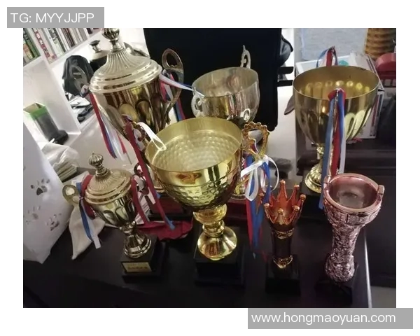 南京排球队的拼搏历程与荣耀时刻全景纪实