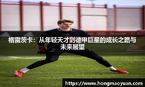 芒果体育